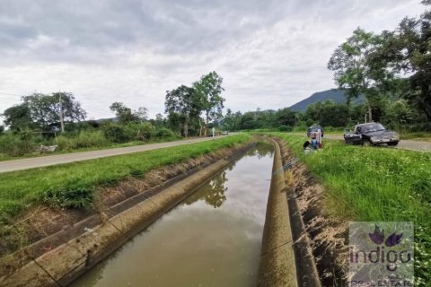 Земельный участок в Чиангмае, Таиланд  № 162529 - фото 5