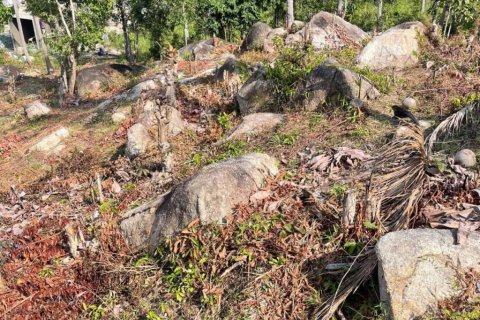 Земельный участок в Сураттхани, Таиланд  № 153751 - фото 9