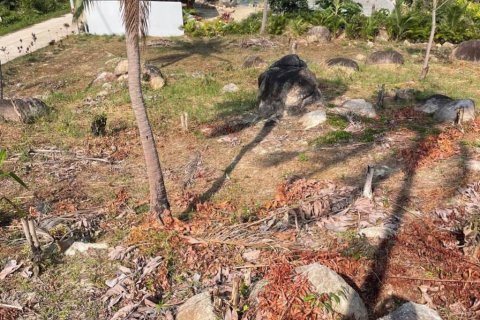 Земельный участок в Сураттхани, Таиланд  № 153751 - фото 8