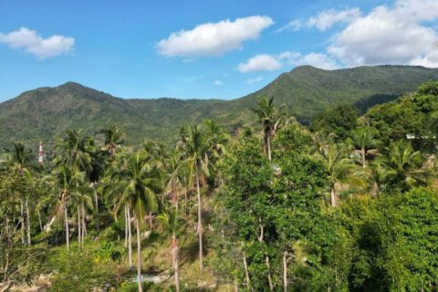 Земельный участок в Сураттхани, Таиланд  № 153751 - фото 6