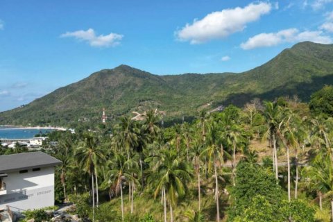 Земельный участок в Сураттхани, Таиланд  № 153751 - фото 3