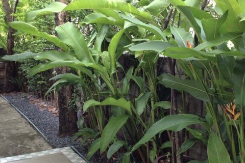 Дом в Сапхансунге, Бангкок, Таиланд с 4 спальнями  № 153182 - фото 18