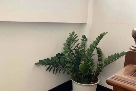 Дом в Сапхансунге, Бангкок, Таиланд с 4 спальнями  № 153182 - фото 15