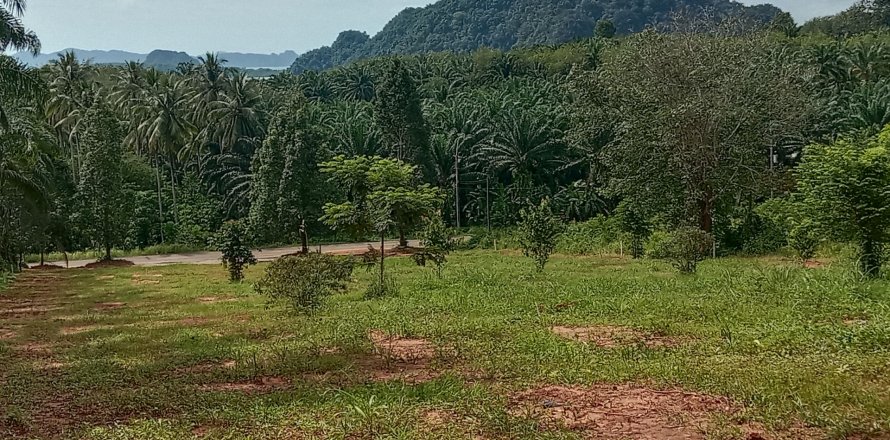 Земельный участок в Краби, Таиланд 6400м2  № 153183