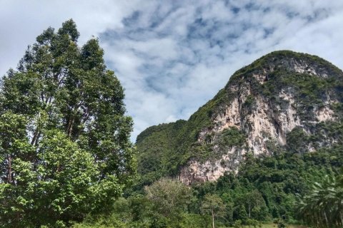 Земельный участок в Краби, Таиланд 6400м2  № 153183 - фото 5