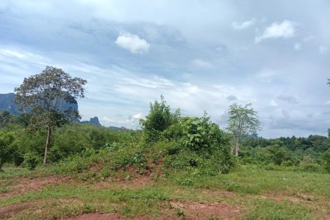 Земельный участок в Краби, Таиланд 6400м2  № 153183 - фото 4