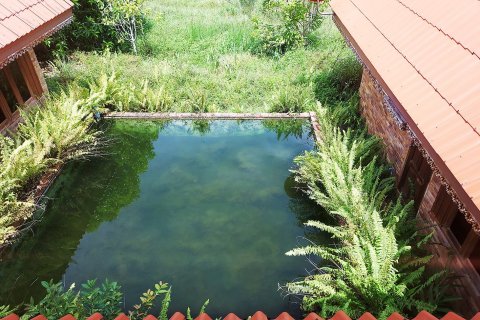 Земельный участок в Клаенге, Таиланд 320000м2  № 151924 - фото 17