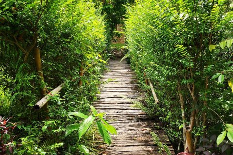 Земельный участок в Клаенге, Таиланд 320000м2  № 151924 - фото 20