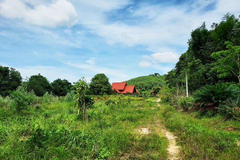 Земельный участок в Клаенге, Таиланд 320000м2  № 151924 - фото 26