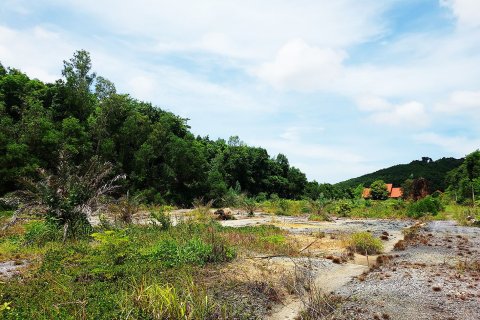 Земельный участок в Клаенге, Таиланд 320000м2  № 151924 - фото 27