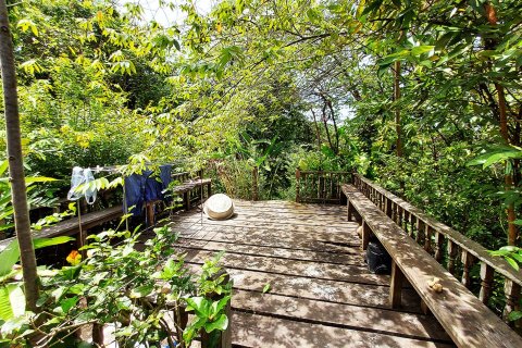 Земельный участок в Клаенге, Таиланд 320000м2  № 151924 - фото 19