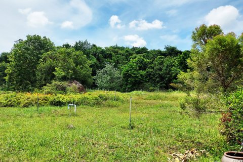 Земельный участок в Клаенге, Таиланд 320000м2  № 151924 - фото 24