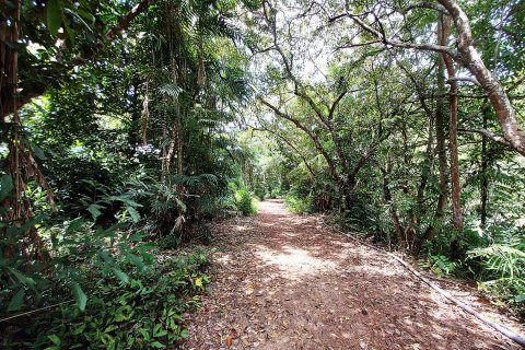 Земельный участок в Клаенге, Таиланд 320000м2  № 151924 - фото 28