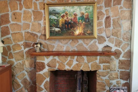 Земельный участок в Пхитсанулоке, Таиланд 32000м2  № 148746 - фото 4