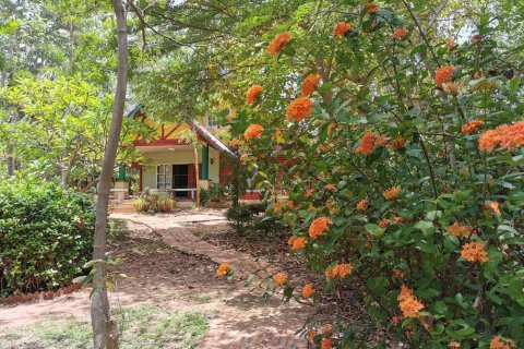 Земельный участок в Пхитсанулоке, Таиланд 32000м2  № 148746 - фото 10