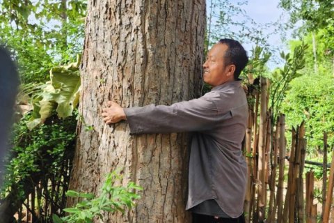 Земельный участок в Пхитсанулоке, Таиланд 32000м2  № 148746 - фото 7