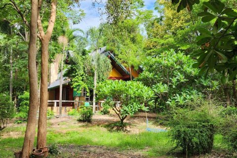 Земельный участок в Пхитсанулоке, Таиланд 32000м2  № 148746 - фото 6