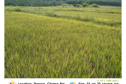 Земельный участок в Чианграе, Таиланд 36800м2 № 172021 - фото 6