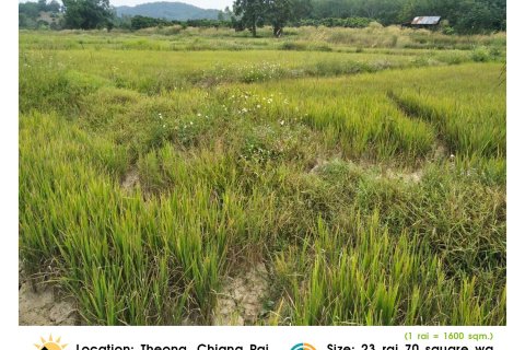 Земельный участок в Чианграе, Таиланд 36800м2 № 172021 - фото 3