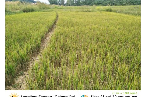 Land in Chiang Rai, Thailand 36800 sq.m. № 172021