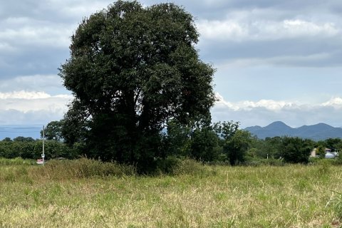 Land in Pak Chong, Thailand 22400 sq.m. № 172019 - photo 2