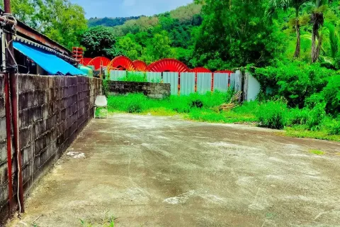 Земельный участок в Кату, Таиланд 200м2 № 157193 - фото 3