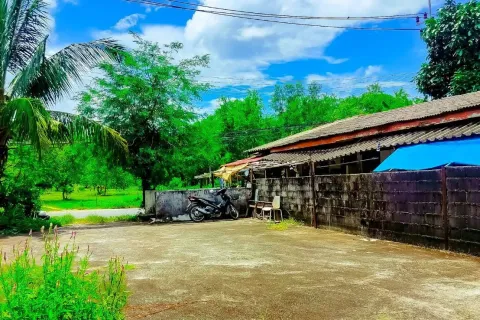 Земельный участок в Кату, Таиланд 200м2 № 157193 - фото 4