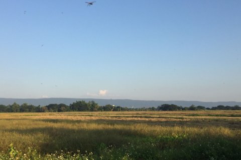 Land in Chiang Rai, Thailand 40000 sq.m. № 149174 - photo 5