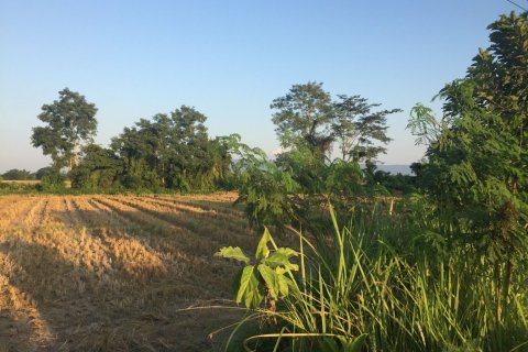 Land in Chiang Rai, Thailand 40000 sq.m. № 149174 - photo 7