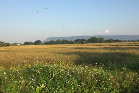 Land in Chiang Rai, Thailand 40000 sq.m. № 149174