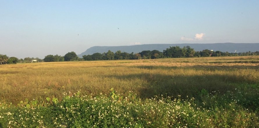 Land in Chiang Rai, Thailand 40000 sq.m. № 149174