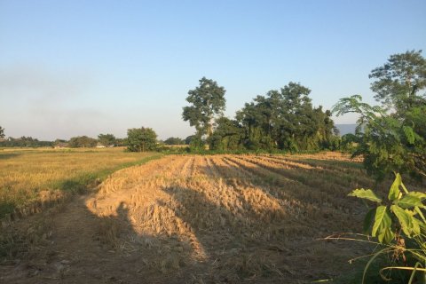 Land in Chiang Rai, Thailand 40000 sq.m. № 149174 - photo 6