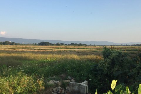Land in Chiang Rai, Thailand 40000 sq.m. № 149174 - photo 3