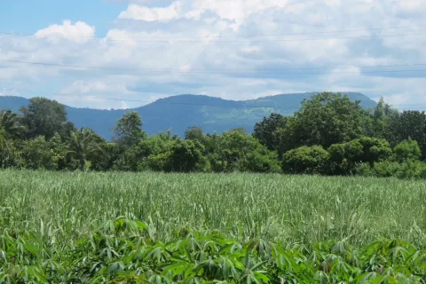 Terrain à Pak Chong, Thaïlande 8000 m2 № 149171 - photo 6