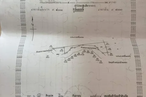 Terrain à Pak Chong, Thaïlande 8000 m2 № 149171
