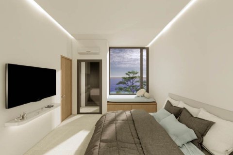 Земельный участок в Бан Чанге, Таиланд 1100.8м2  № 156113 - фото 21