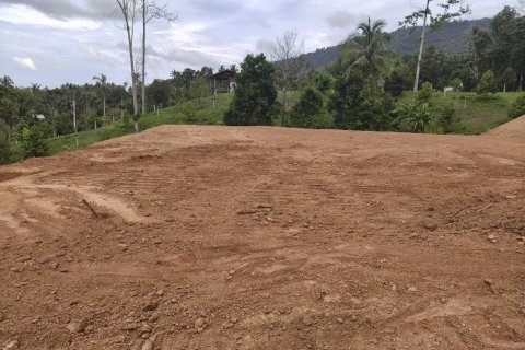 Земельный участок в Самуи, Таиланд 1200м2  № 151358 - фото 4