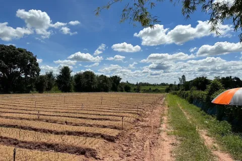 Land in Udon Thani, Thailand 10164 sq.m. № 159564 - photo 2