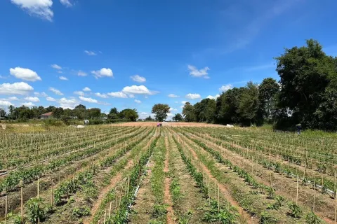 Land in Udon Thani, Thailand 10164 sq.m. № 159564