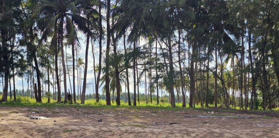 Land in Hua Hin, Thailand 30400 sq.m. № 171685