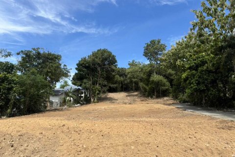 Земельный участок в Самуи, Таиланд 3932м2  № 137320 - фото 3