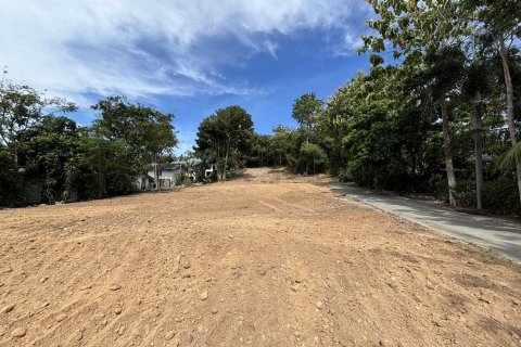 Земельный участок в Самуи, Таиланд 3932м2  № 137320 - фото 1