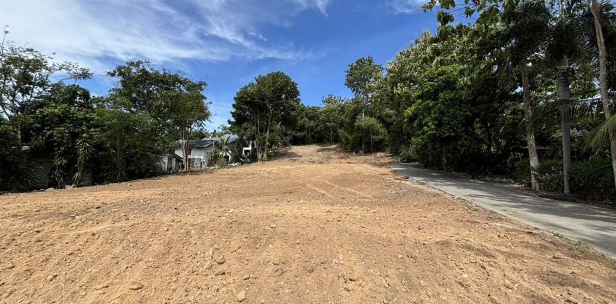 Земельный участок в Самуи, Таиланд 3932м2  № 137320