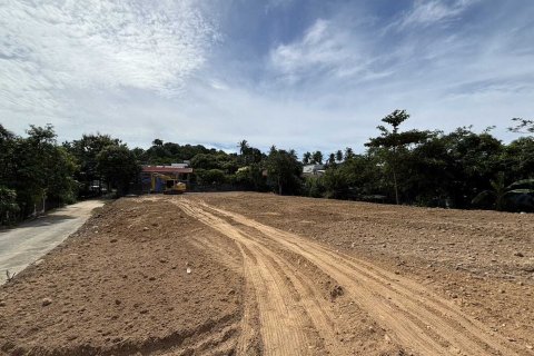 Земельный участок в Самуи, Таиланд 3932м2  № 137320 - фото 6