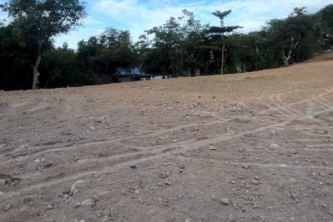 Земельный участок в Самуи, Таиланд 3932м2  № 137320 - фото 8