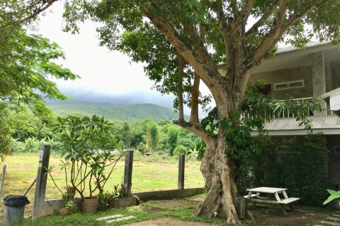 Maison à Chiang Mai, Thaïlande 6 chambres № 173634