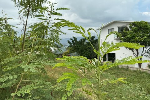 Земельный участок в Самуи, Таиланд 956м2 № 170644 - фото 4