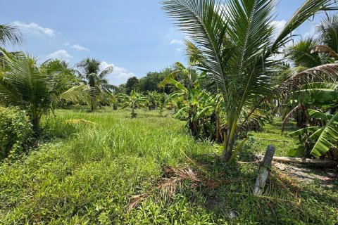 Terrain à Phuket, Thaïlande 1936 m2 № 149245 - photo 7