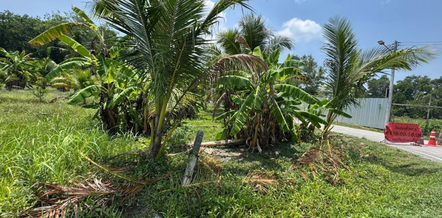 Terrain à Phuket, Thaïlande 1936 m2 № 149245