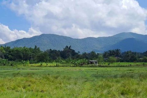 Condo in Chiang Mai, Thailand, 3 bedrooms  № 133459 - photo 2